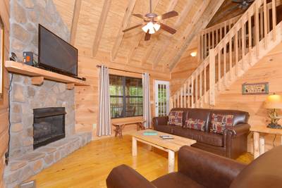 Beary Beary Special main level living room with sleeper sofa