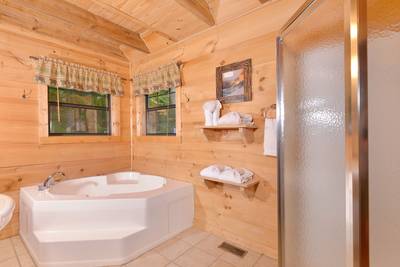 Beary Beary Special main level bathroom 1 with whirlpool and walk-in shower