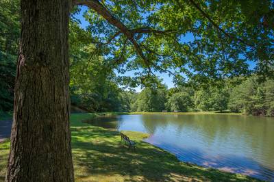 Caney Creek Mountain Area fully stocked catch and release fishing pond