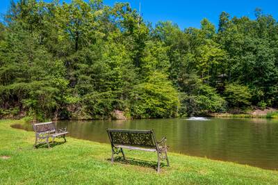 Caney Creek Mountain Area fully stocked catch and release fishing pond with benches