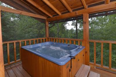 The Cabin at SunRae Ridge screened in back deck with hot tub