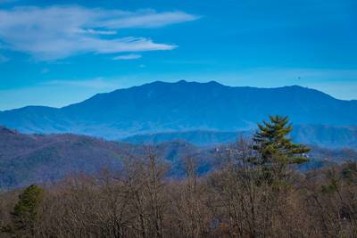 Buck Naked panoramic mountain views