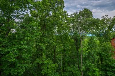 Antler Run wooded setting 