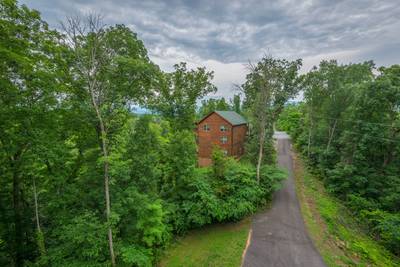 Antler Run wooded setting